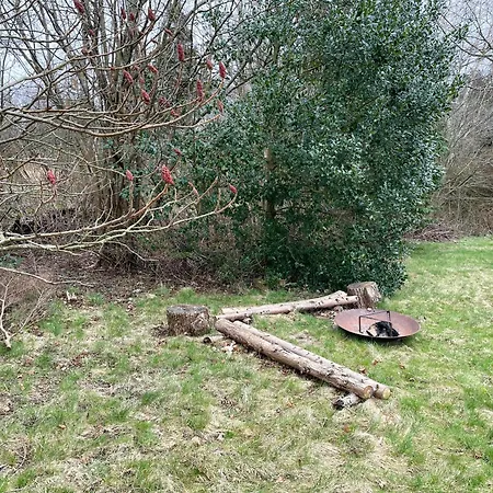Norwegian Log Near And Nature *